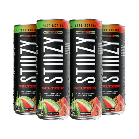 Watermelon Wave Seltzer - STIIIZY Hemp-Derived THC drink  STIIIZY Seltzer