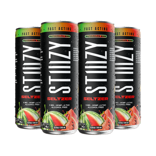 STIIIZY Watermelon Wave Seltzer